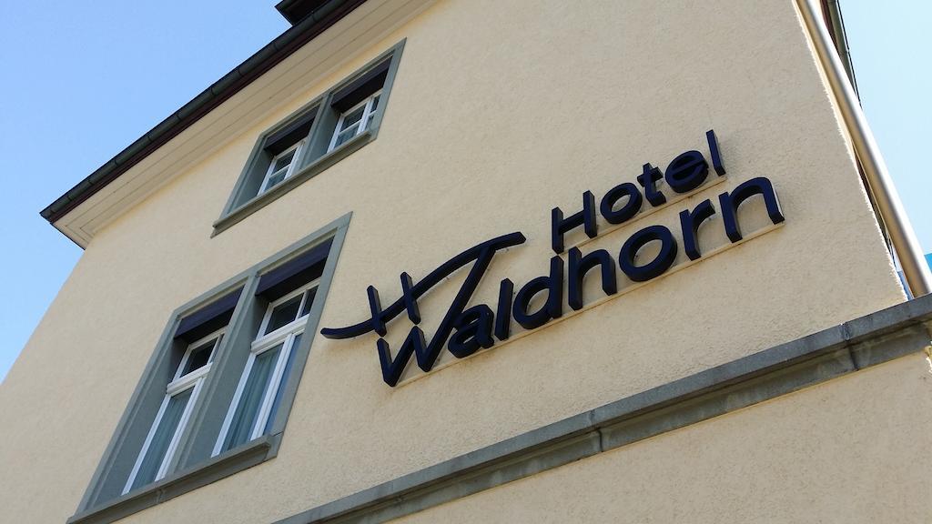 Hotel Waldhorn 3*